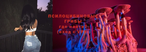 apvp Алексеевка