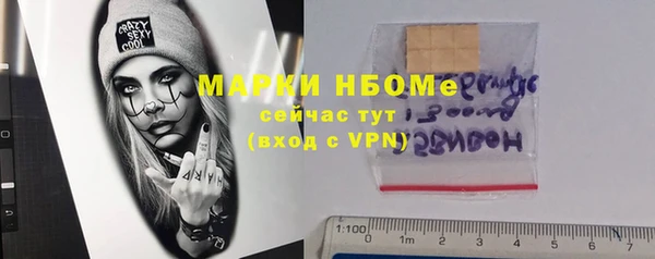 гидропоника Алзамай