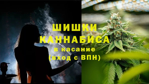 ешки Алексин