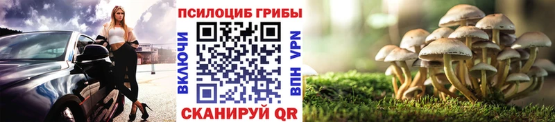 купить наркоту Павлово Галлюциногенные грибы Magic Shrooms